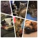 Elizabeth Parson - Facebook
