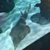 Elizabeth Parsons - @elizabethparsons47 - TikTok