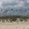 elizabethparson55 - @elizabethparson55 - TikTok