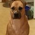 Elizabeth Perdue - Facebook