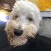 liz - @elizabeth.plotkin - TikTok