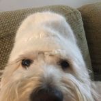 Liz Plotkin - Facebook