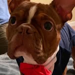 Elizabeth Pointer - @elzbthpointer - Instagram