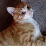 Elizabeth Pointer - @pointerelizabeth - Instagram