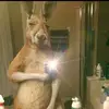 Elizabeth Poore - @elizabethpoore872 - TikTok