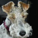 Elizabeth Pretorius - @pretorius.elizabeth - Instagram