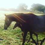 Elizabeth Pretorius - @elizabeth.pretorius.77 - Instagram