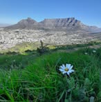 Elizabeth Pretorius - Facebook