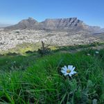 Elizabeth Pretorius - @elizabeth.pretorius.5895 - Instagram