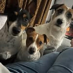 Elizabeth Pretorius - @elizabeth.vanheerden.549 - Instagram