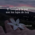 Elizabeth Elizabeth - @elizabeth.preza.397 - Instagram