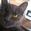 Elizabeth Pullin - @beulahpullin - TikTok