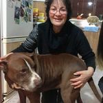 Elizabeth Quinlan - @quinlan5246 - Instagram