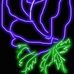 Elizabeth Race - Facebook