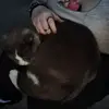 Rielle_Elizabeth - @rielle_elizabeth - TikTok