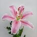 Elizabeth Ro - Facebook