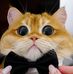 Elizabeth Robert - Facebook