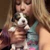 ElizabethRobins  - @e_dancer7777777 - TikTok