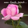Elizabeth - @elizabethroque392 - TikTok