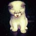 Elizabeth Roque - Facebook