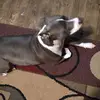 elizabethsanger - @elizabeth.sanger - TikTok