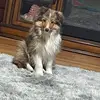 Elizabeth Sharp - @elizabeth.sharp6 - TikTok