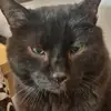 Elizabeth Sheets - @elizabethsheets1421 - TikTok
