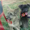 Elizabeth Nuñez Sipe - @eliza19924 - TikTok
