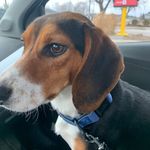 Elizabeth Skipper - @skipper1778 - Instagram