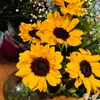 Elizabeth - @elizabethsorto797 - TikTok