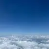 Elizabeth - @elizabethspring23 - TikTok