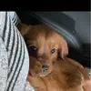 elizabethsquillac - @elizabethsquillac - TikTok