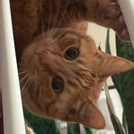Liz Stack - @elizabeth._.stack - Instagram