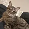 Elizabeth Steen - @elizabethsteen3 - TikTok