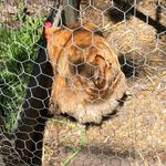 Elizabeth Steinhoff - @elizabeth.steinhoff.5 - Instagram