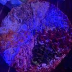 @marian_elizabeth_stocker_ - Instagram