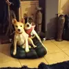 Nedra Elizabeth Stonecipher - @nedra.elizabeth.s - TikTok