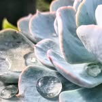 💠 𝐸𝑙𝑖𝑧𝑎𝑏𝑒𝑡ℎ 𝑆𝑡𝑜𝑤𝑒𝑙𝑙 💠 - @stowell_photography_0 - Instagram