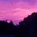 Elizabeth Strauch Curtin - Facebook