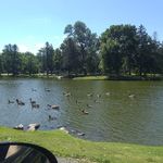 Elizabeth Strickler - @elizabeth.strickler.92 - Instagram