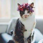 Elizabeth Strike - @flower_love420 - Instagram