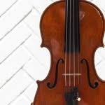 Elizabeth String Studios - @elizabethstringstudios - Instagram