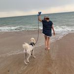 Elizabeth Strode Lenn - @lizzielenn - Instagram