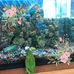 Elizabeth Strothmann - Facebook