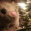 Elizabeth Baker [STUDENT] - @elizabeth.baker.s - TikTok