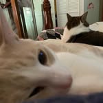 Gayla Elizabeth J. Tedder - @gaylamooringtedder - Instagram