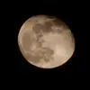 Et-the-alien - @elizabeth.testa7 - TikTok