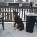 Elizabeth Tocco - Facebook
