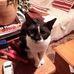 Elizabeth Tomkinson - Facebook