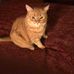Elizabeth Toth - Facebook